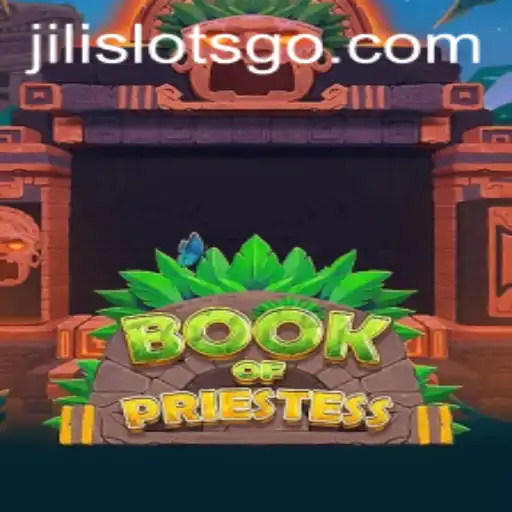 Exploring BookOfPriestess: The New Frontier in SLOTS GO